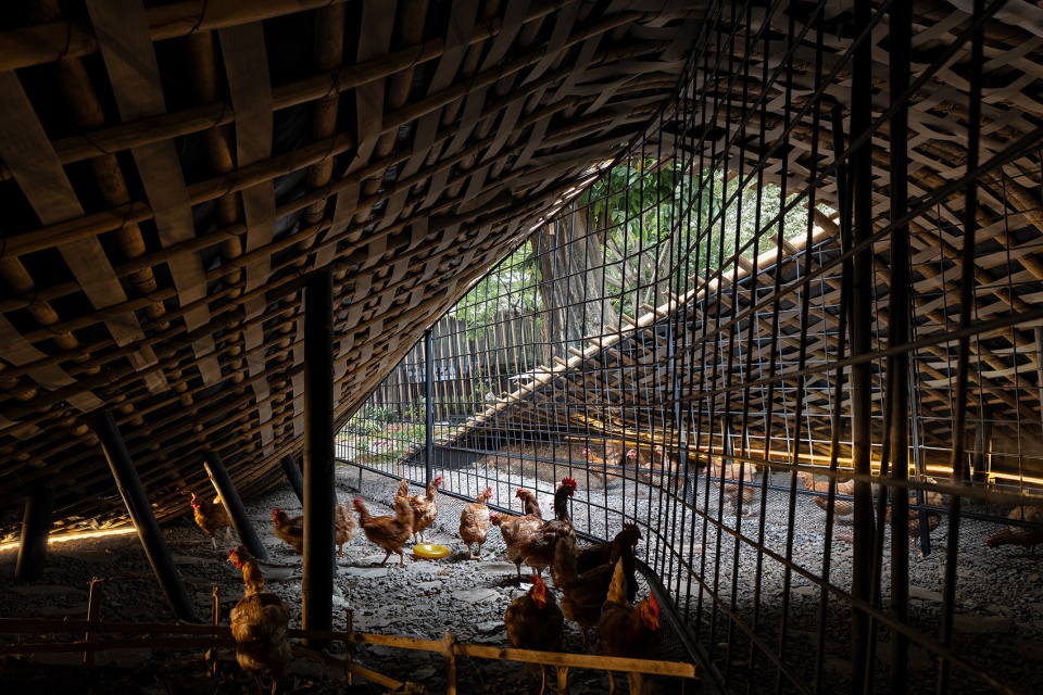 chicken hero pavilion by radar