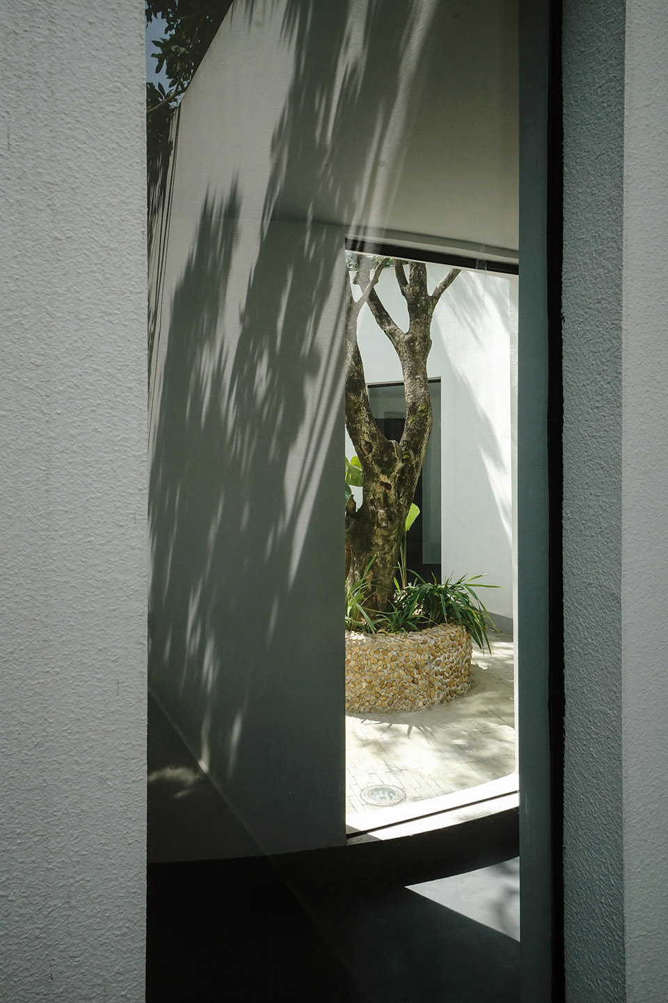 courtyard under longan trees by spacework architects
