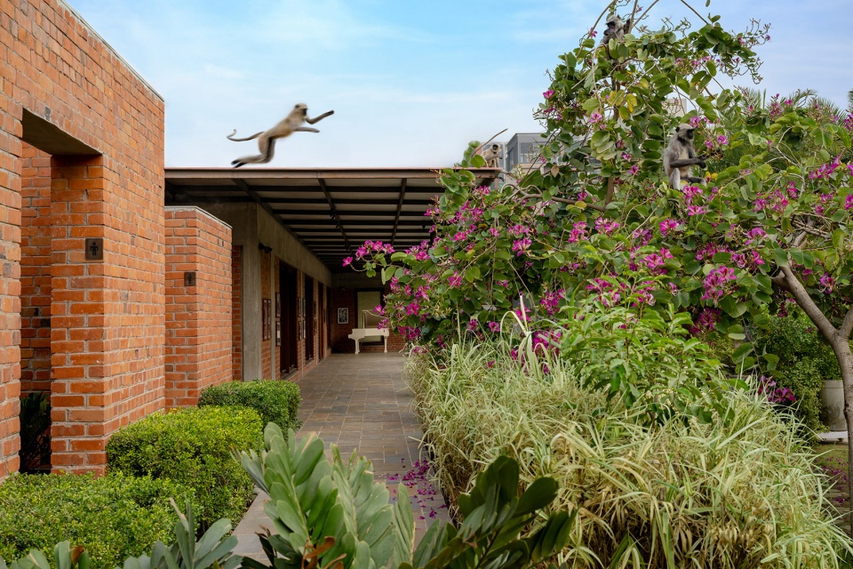 under the neem tree restaurant by hiren patel architects