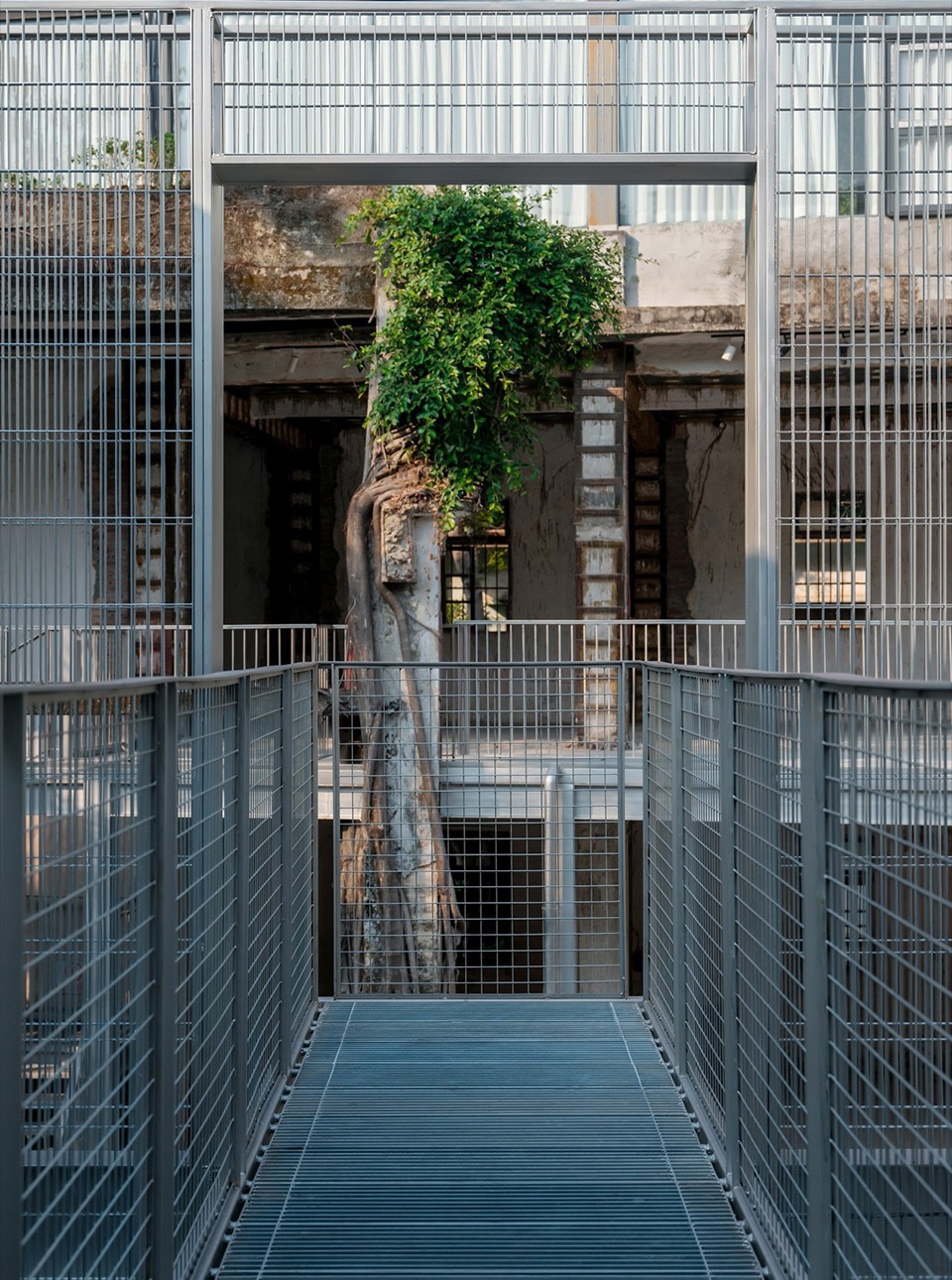 Wildness Promenade by BDSD Boundless Design