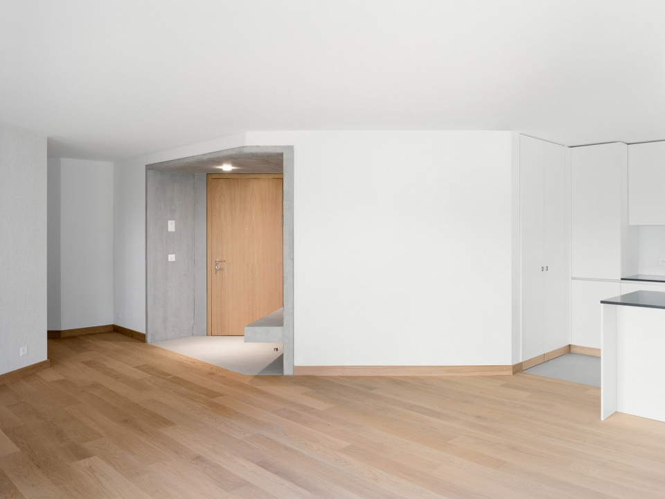 condominium apartments in nyon by lacroix chessex