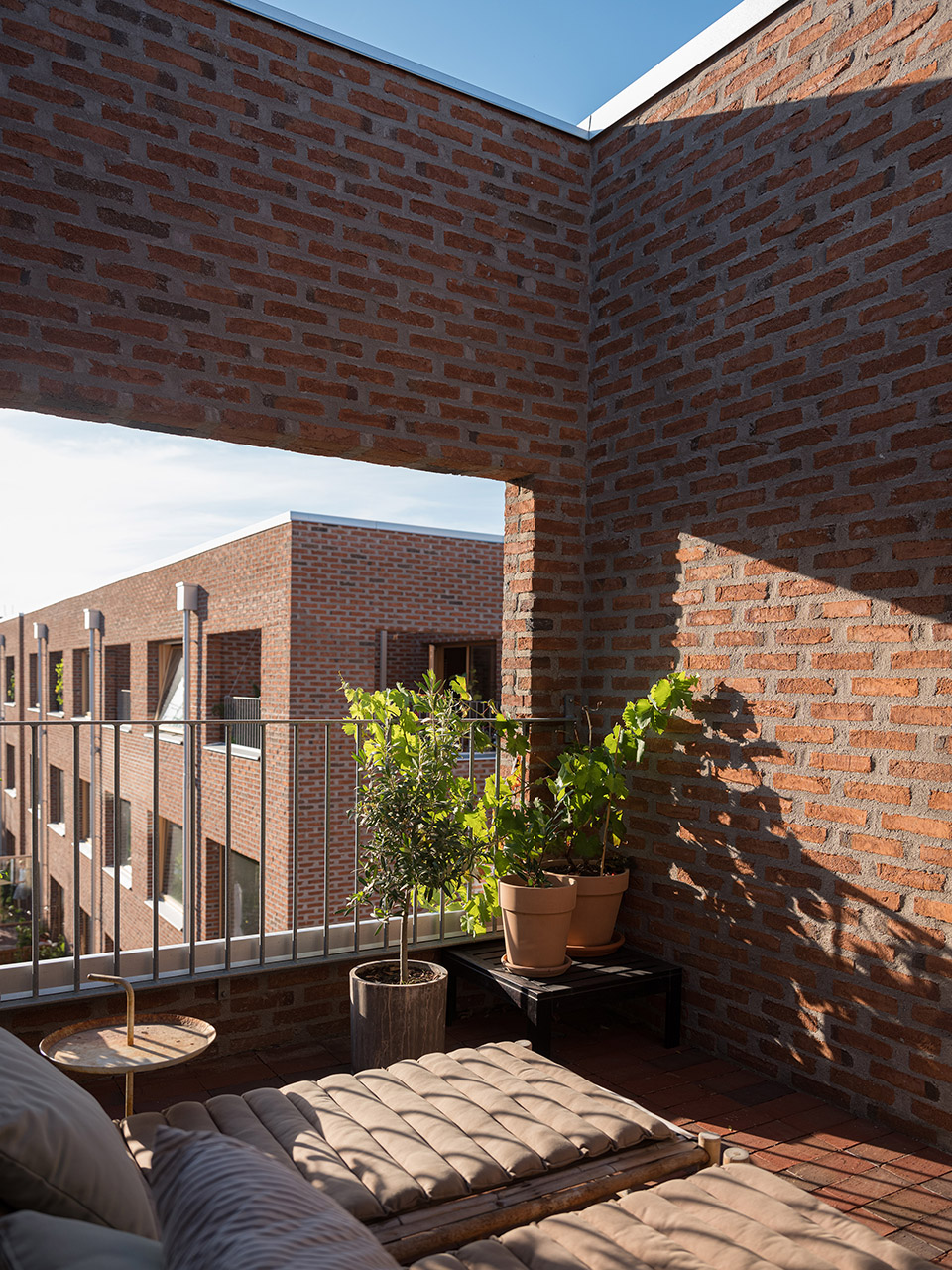 twelve houses by faf