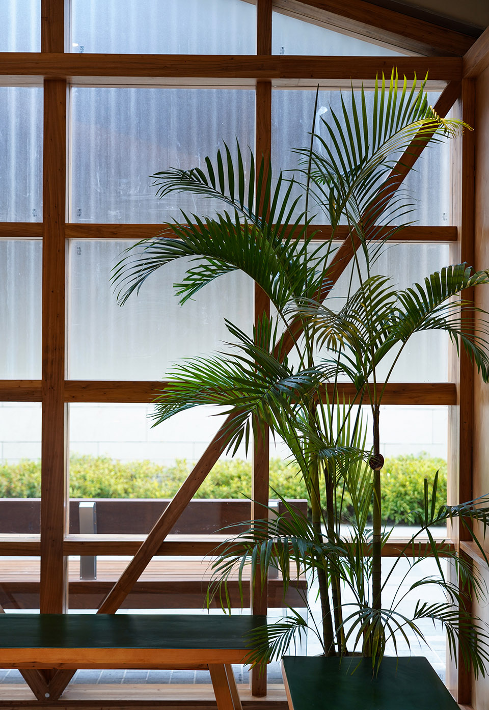 soft bizkit by huizong design and researc