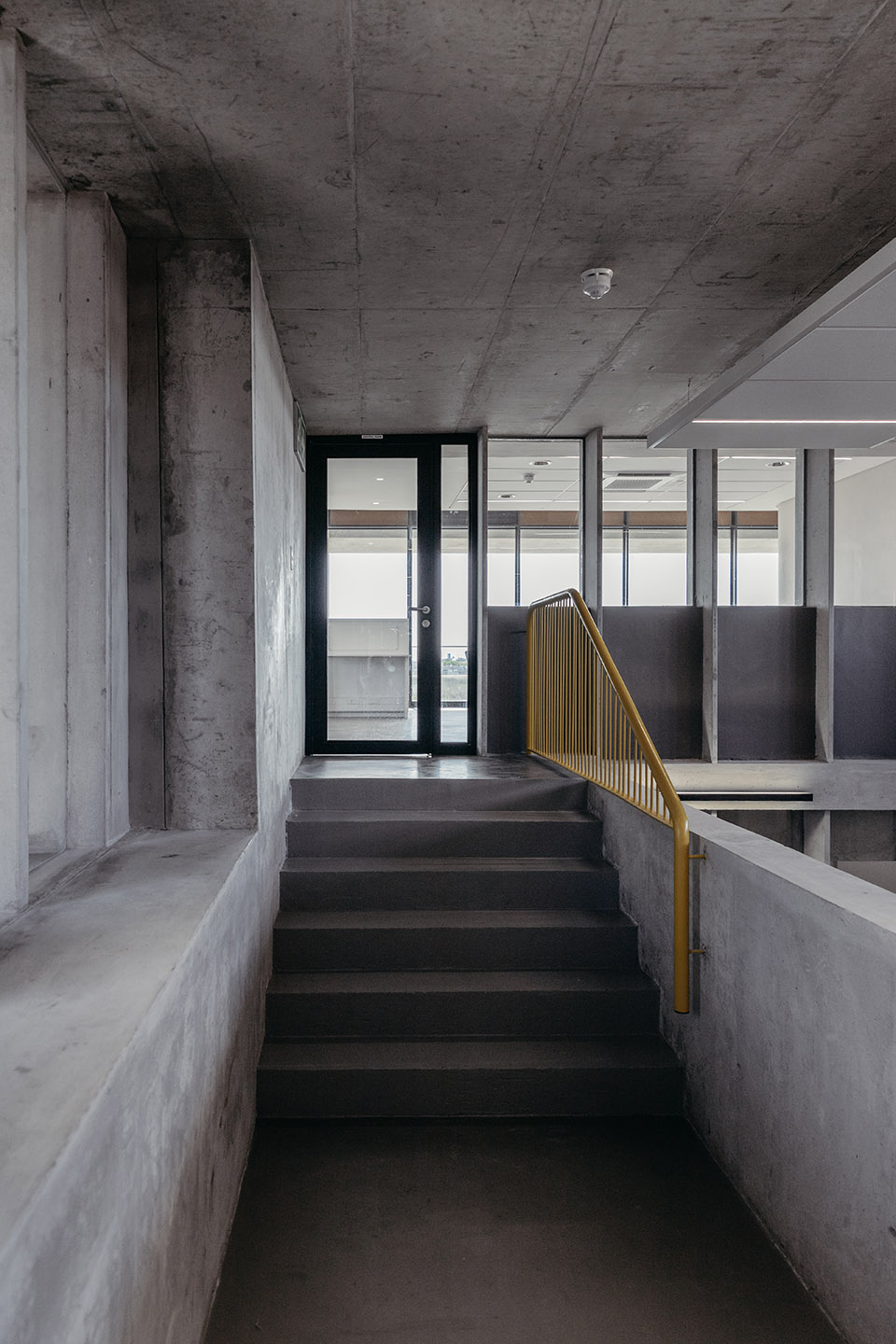blower house by salt architects