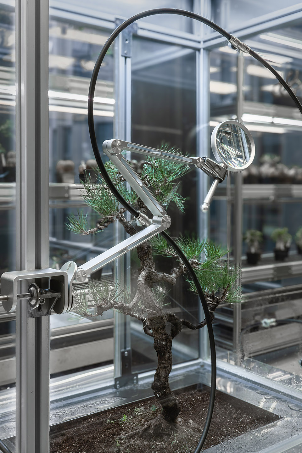 future laboratory of botanists by ruhaus studio