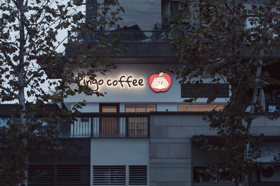 pingo coffee by inception design studio