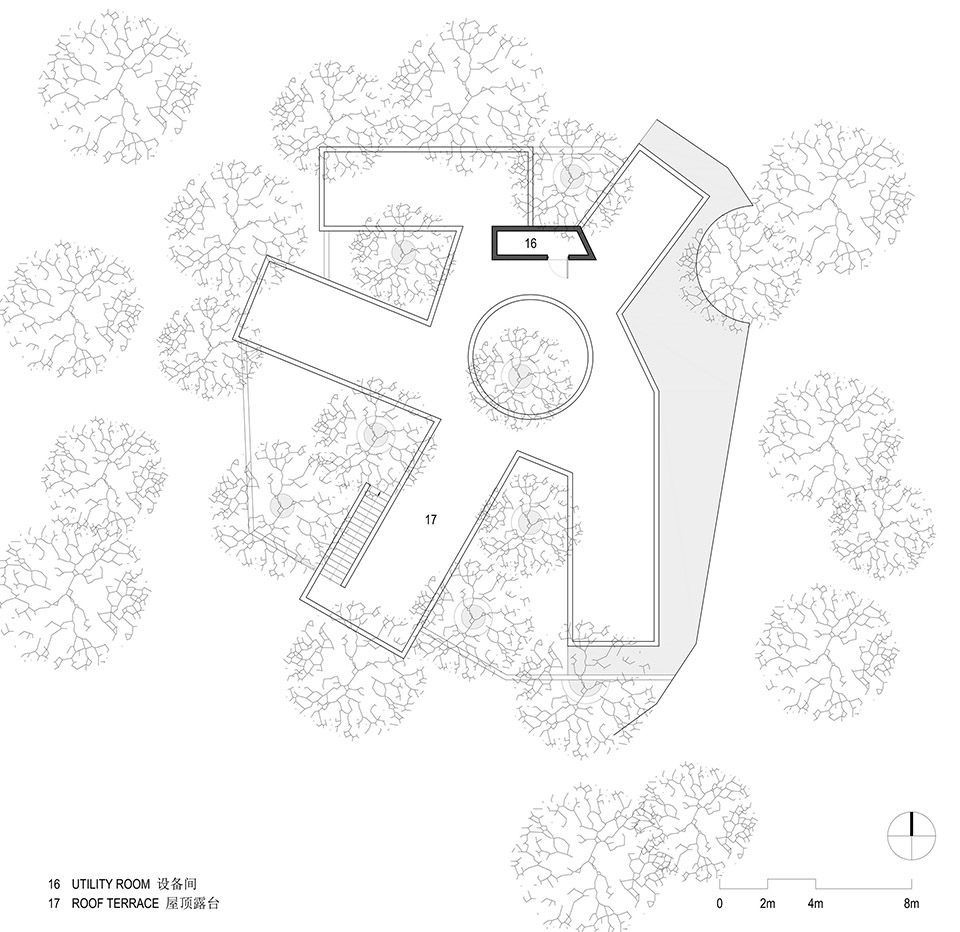 courtyard under longan trees by spacework architects