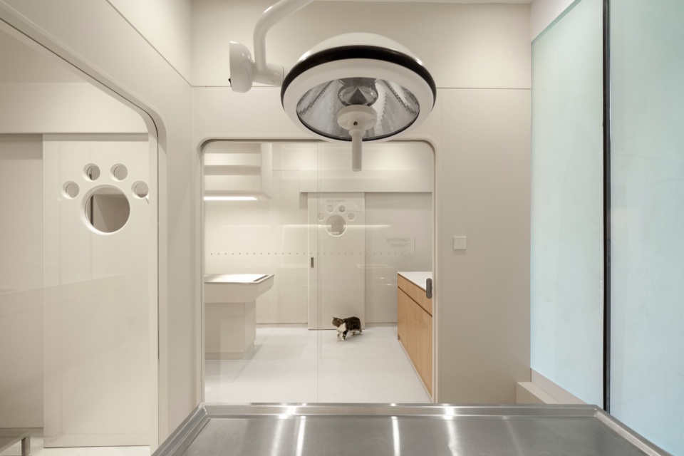 Hong Kong SAA Veterinary Centre by Karv One Design