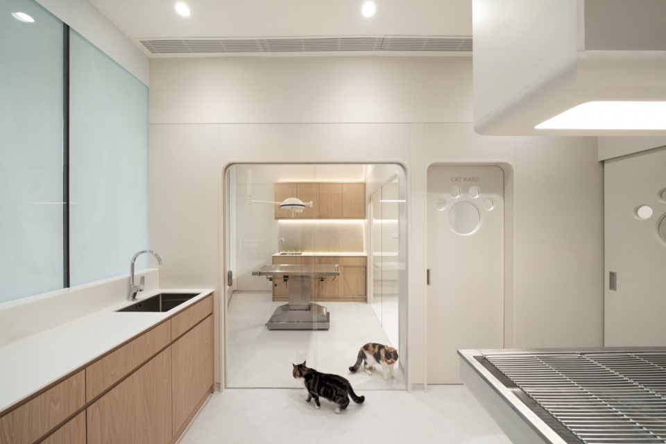 Hong Kong SAA Veterinary Centre by Karv One Design