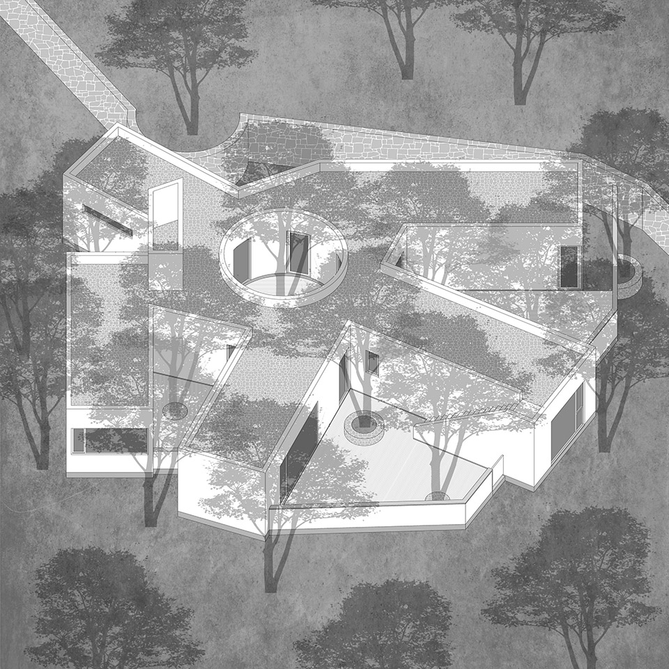 courtyard under longan trees by spacework architects