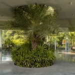Amoeba办公建筑，印度 / Hiren Patel Architects