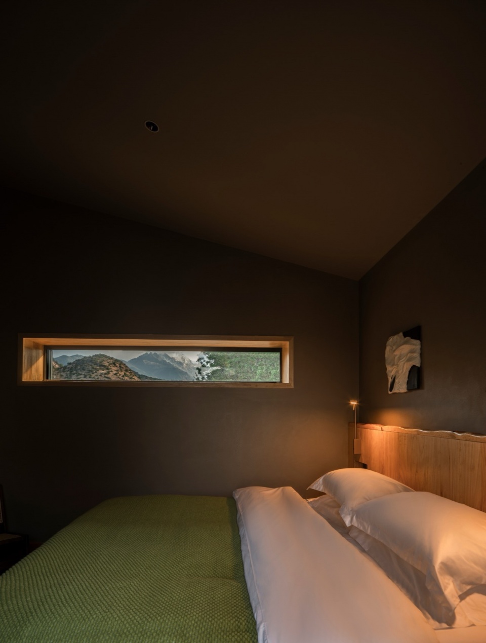 The Deep Green Hostel