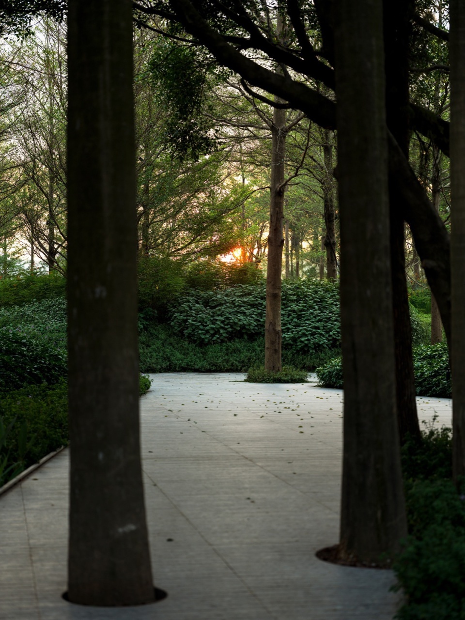 © 王宁 shunde yunlu wetland pavilion landscape design