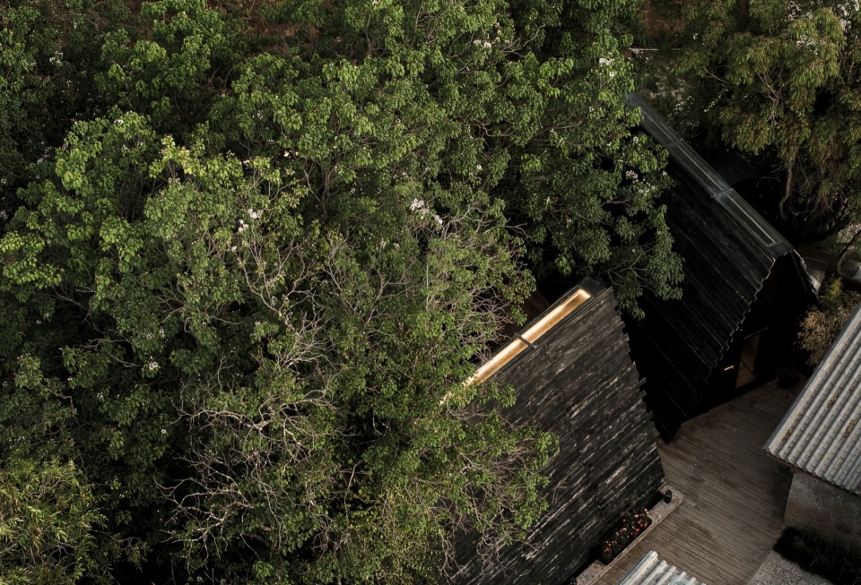 The Deep Green Hostel