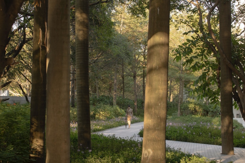 Holi河狸 shunde yunlu wetland pavilion landscape design