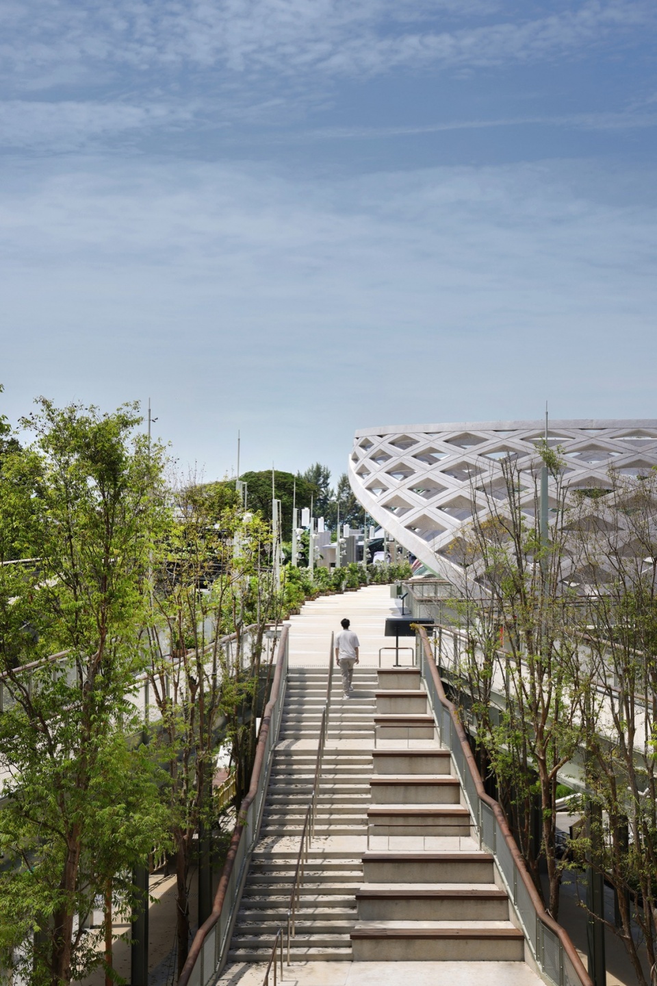 Sentosa Sensoryscape Serie Architects Finbarr Fallon 15 Web