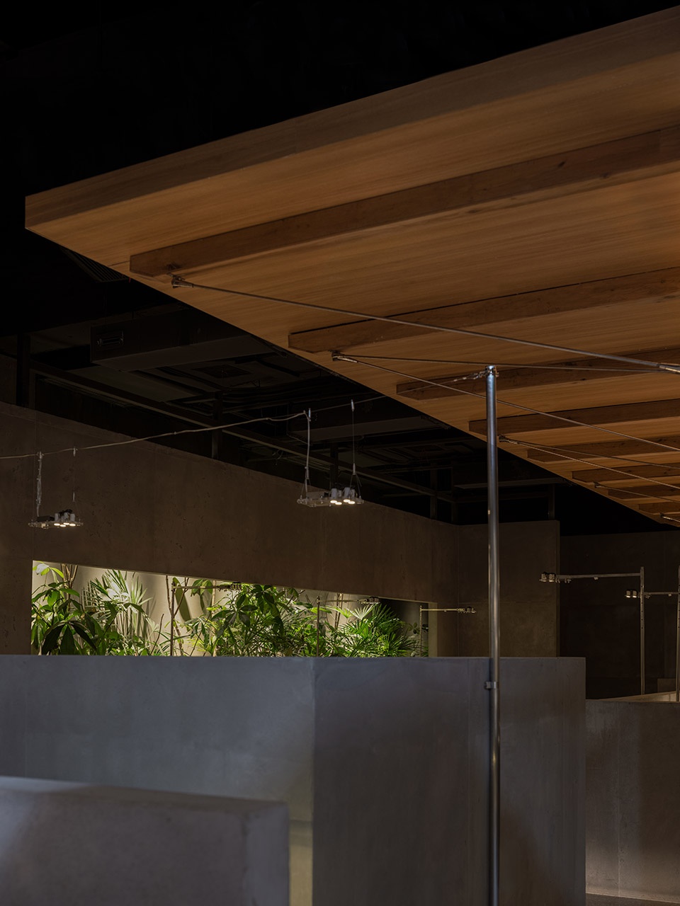 fashion and tasty restaurant by young design