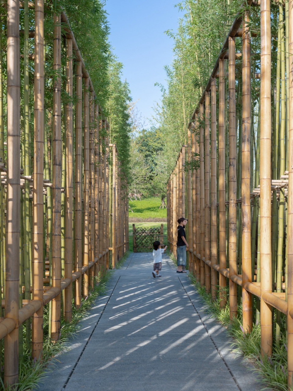 lantern by tls landscape architecture