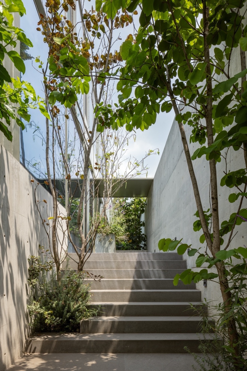 Carpatos by Ignacio Urquiza Arquitectos