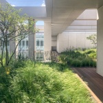 Polish Embassy in Berlin by JEMS Architekci