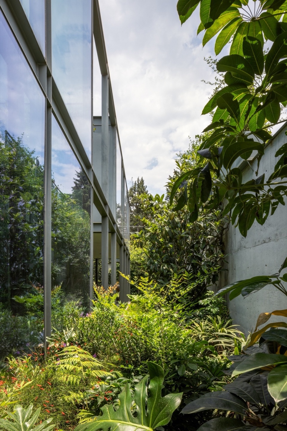 Carpatos by Ignacio Urquiza Arquitectos