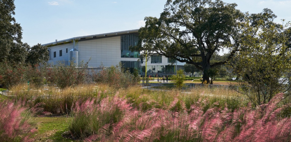 2024 ASLA Louisiana Children s Museum by Mithun