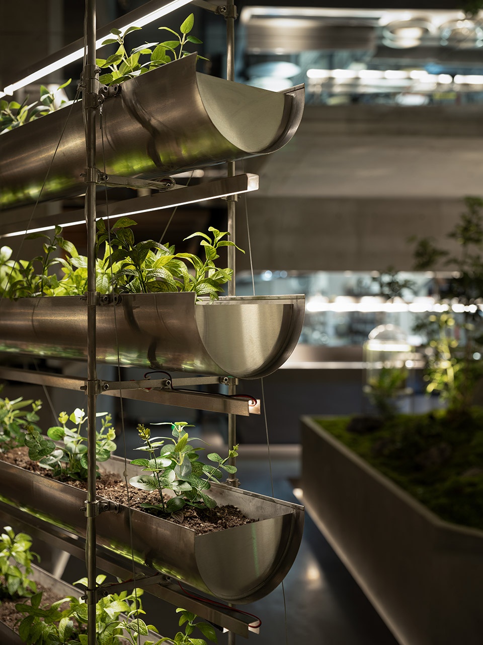 fashion and tasty restaurant by young design