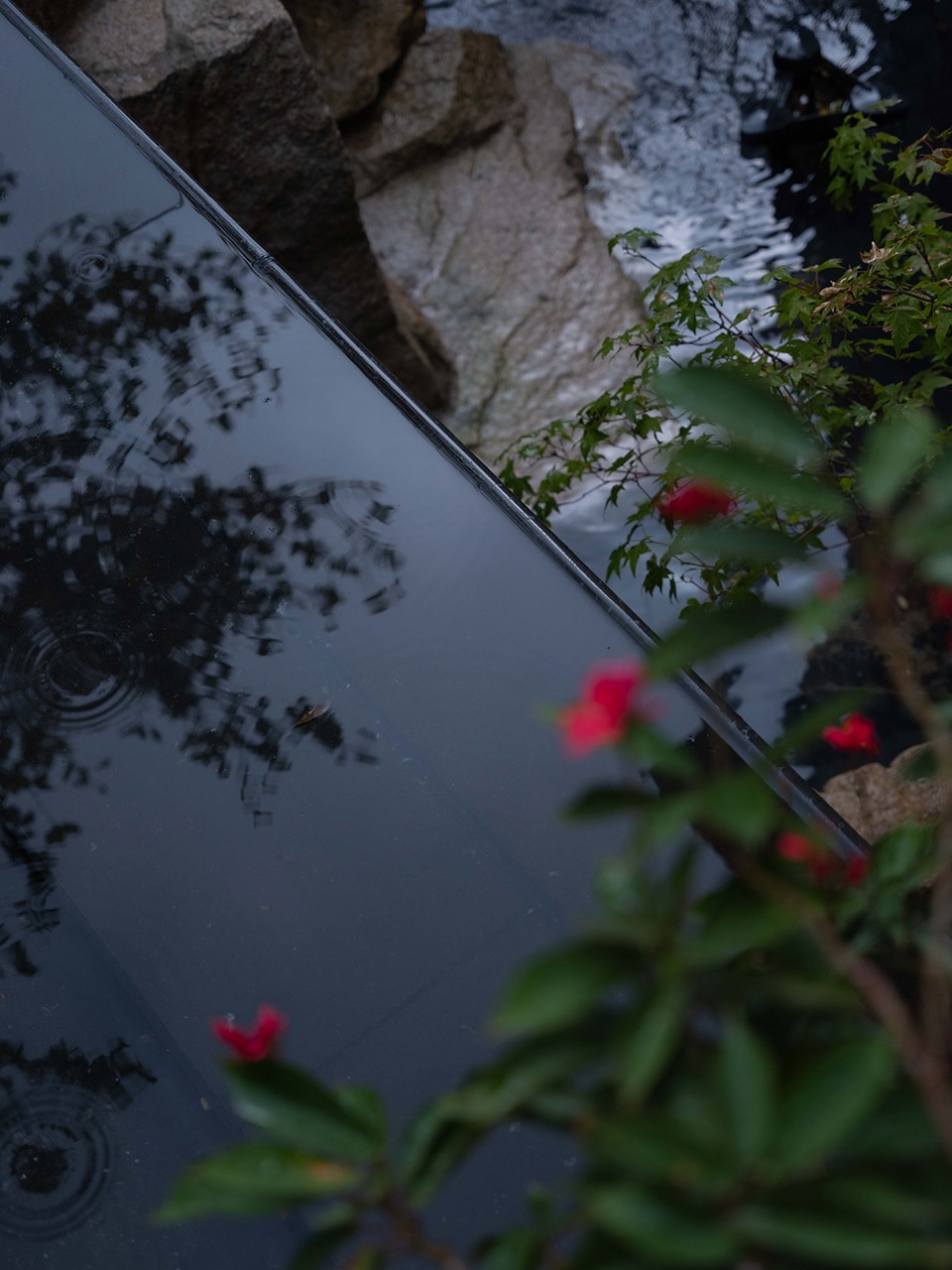 xishan courtyard by jinye studio
