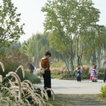 磨滩旅游度假区部分景观节点设计，安徽合肥 / 美拓设计