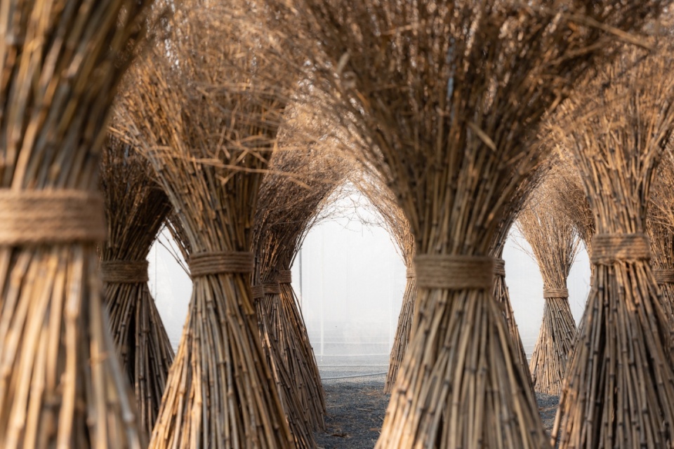 lantern by tls landscape architecture