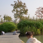 磨滩旅游度假区部分景观节点设计，安徽合肥 / 美拓设计