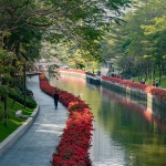 2024 IFLA AAPME能源与低碳减排类荣誉奖：深圳后海中心河公园 / HOPE翰博设计