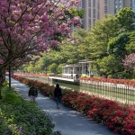 2024 IFLA AAPME能源与低碳减排类荣誉奖：深圳后海中心河公园 / HOPE翰博设计