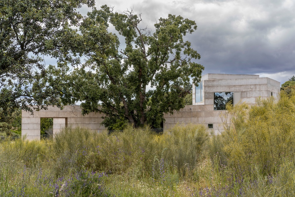 house x by bojaus arquitectura
