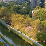 2024 IFLA AAPME能源与低碳减排类荣誉奖：深圳后海中心河公园 / HOPE翰博设计