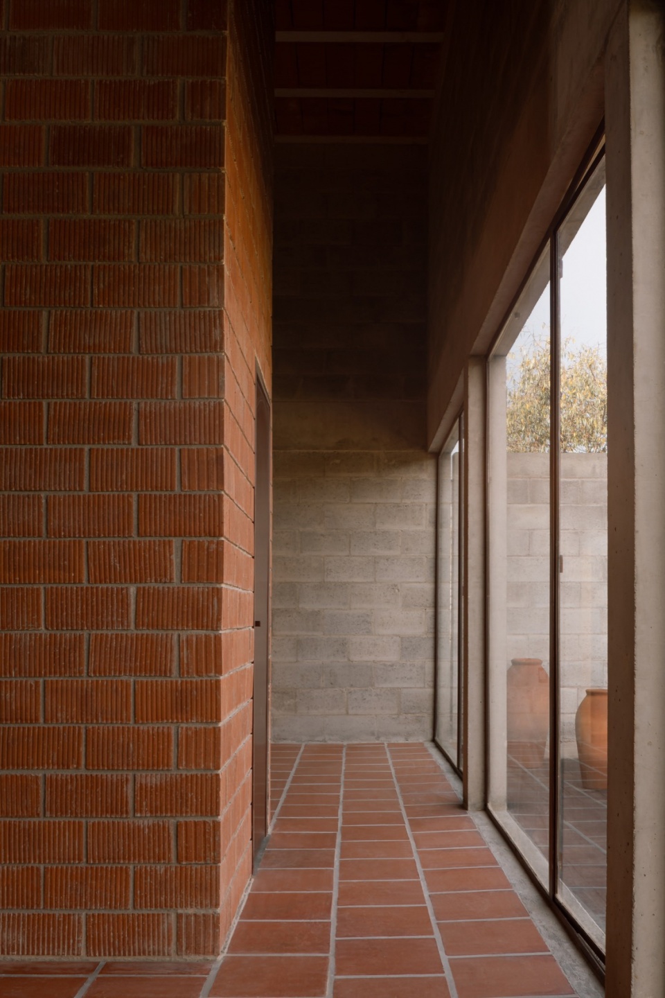 CASA NOGAL by Escobedo Soliz
