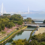 2024 IFLA AAPME能源与低碳减排类荣誉奖：深圳后海中心河公园 / HOPE翰博设计