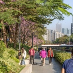 2024 IFLA AAPME能源与低碳减排类荣誉奖：深圳后海中心河公园 / HOPE翰博设计