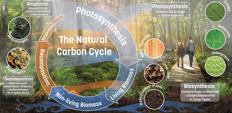 2024 ASLA Research Award Of Excellence Designing with a Carbon Conscience by Sasaki