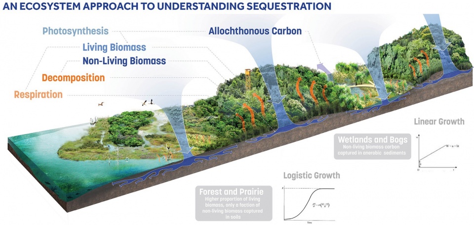2024 ASLA Research Award Of Excellence Designing with a Carbon Conscience by Sasaki