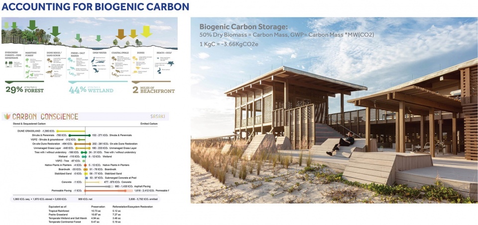 2024 ASLA Research Award Of Excellence Designing with a Carbon Conscience by Sasaki