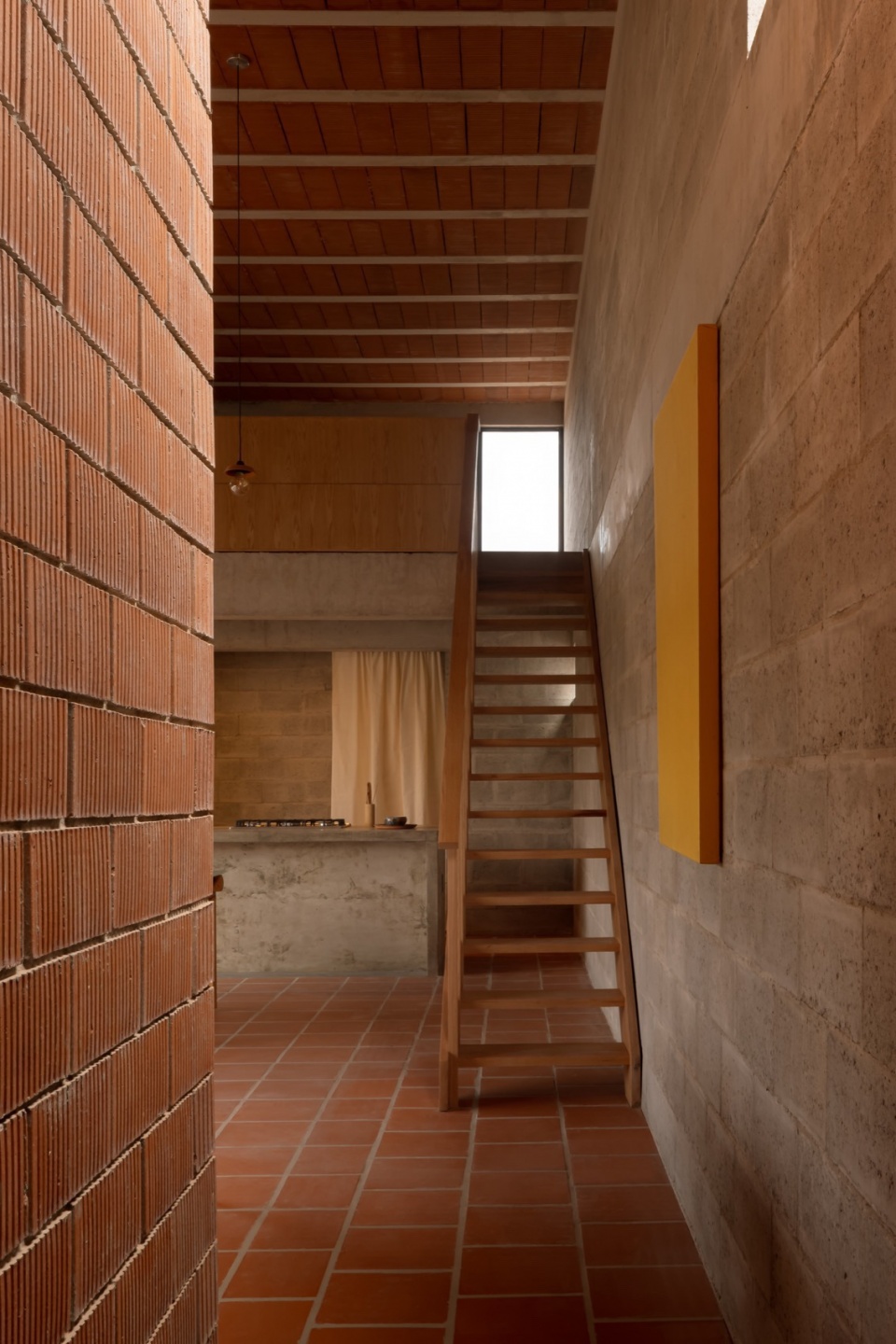 CASA NOGAL by Escobedo Soliz