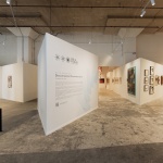 群岛-S.E.A. Focus 2025展览，新加坡 / Spatial Anatomy