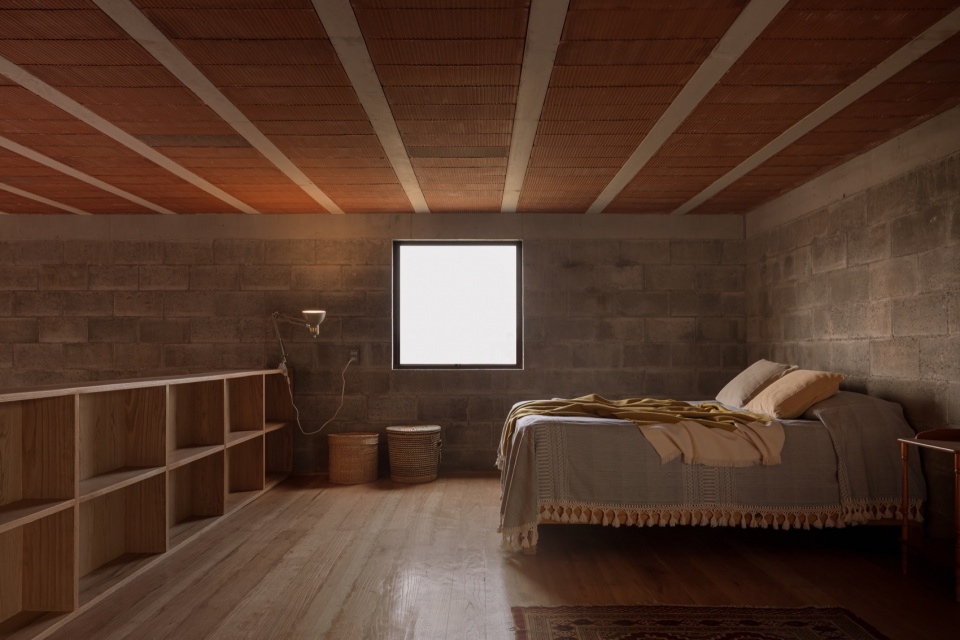 CASA NOGAL by Escobedo Soliz