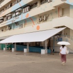 群岛-S.E.A. Focus 2025展览，新加坡 / Spatial Anatomy