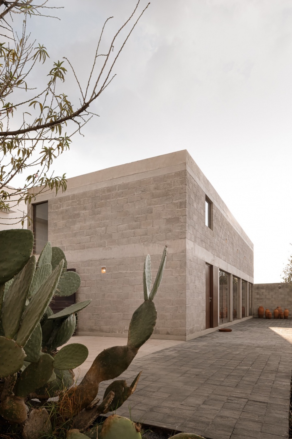 CASA NOGAL by Escobedo Soliz