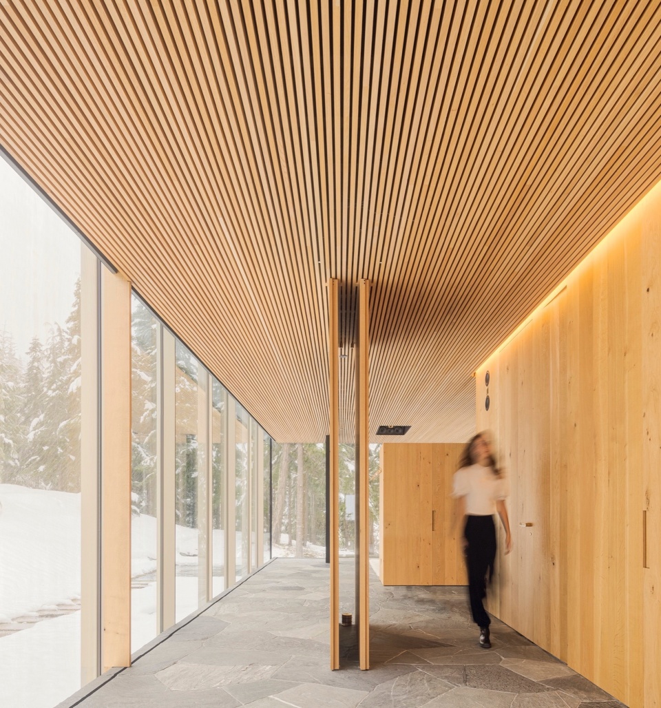 Flag House by Studio Mk27