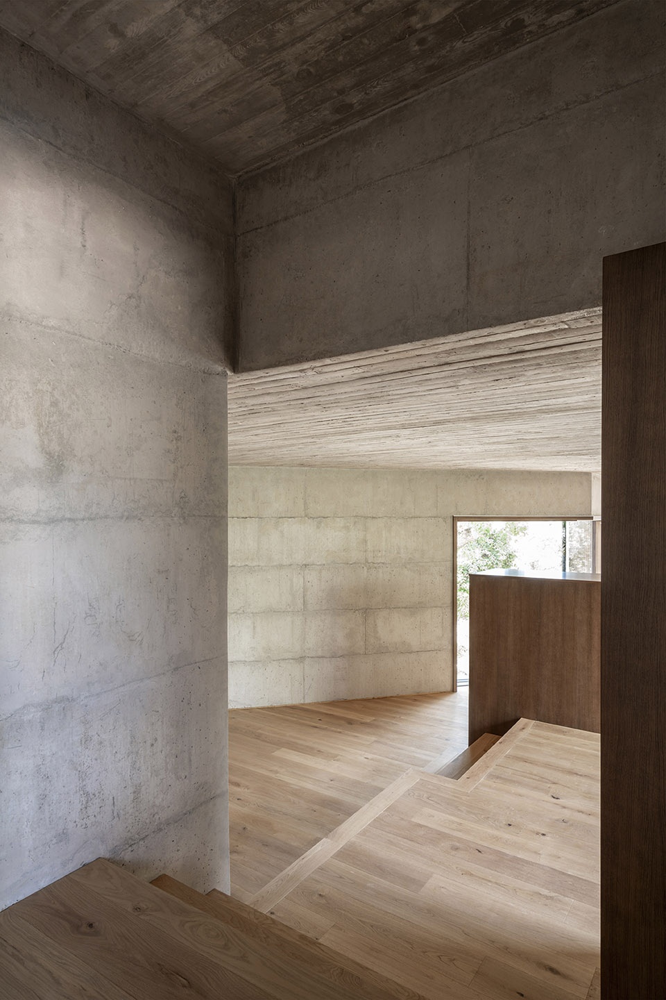 house x by bojaus arquitectura