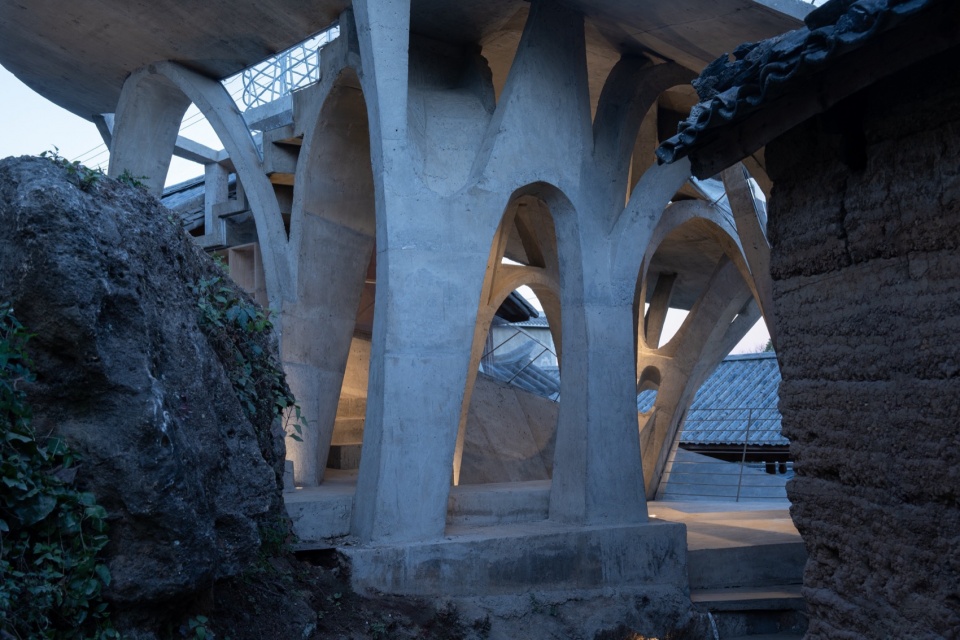 Mushroom library for Children in Yunnan
