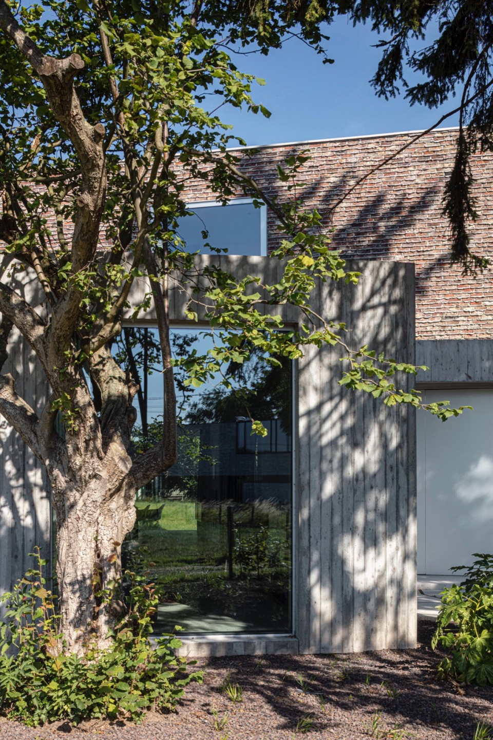 house dede by oyo architects